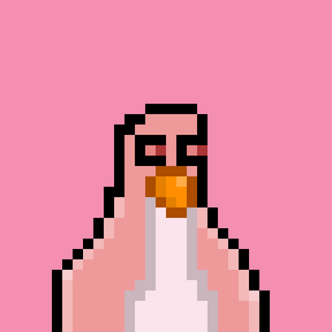 cryptopengz: 302